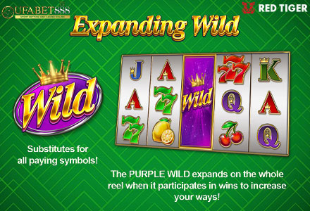 ฟีเจอร์ Expanding Wild