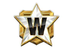 สัญลักษณ์ Wild 1942 Sky Warrior