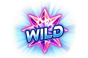 สัญลักษณ์ Wild GB