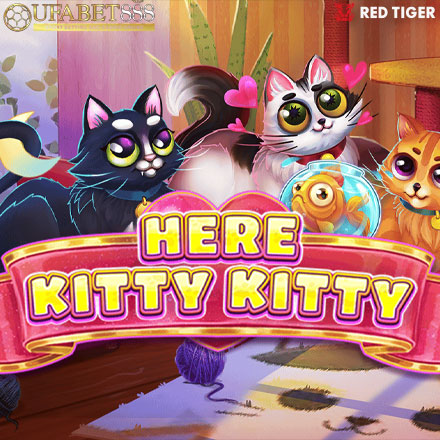 FP Here Kitty Kitty
